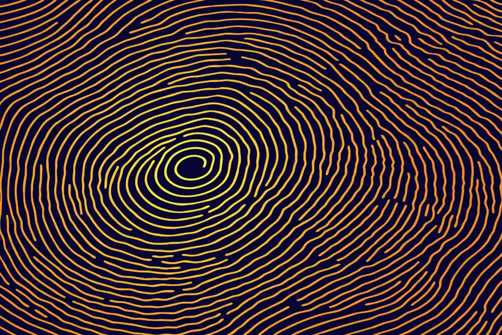 Privacidad en Línea